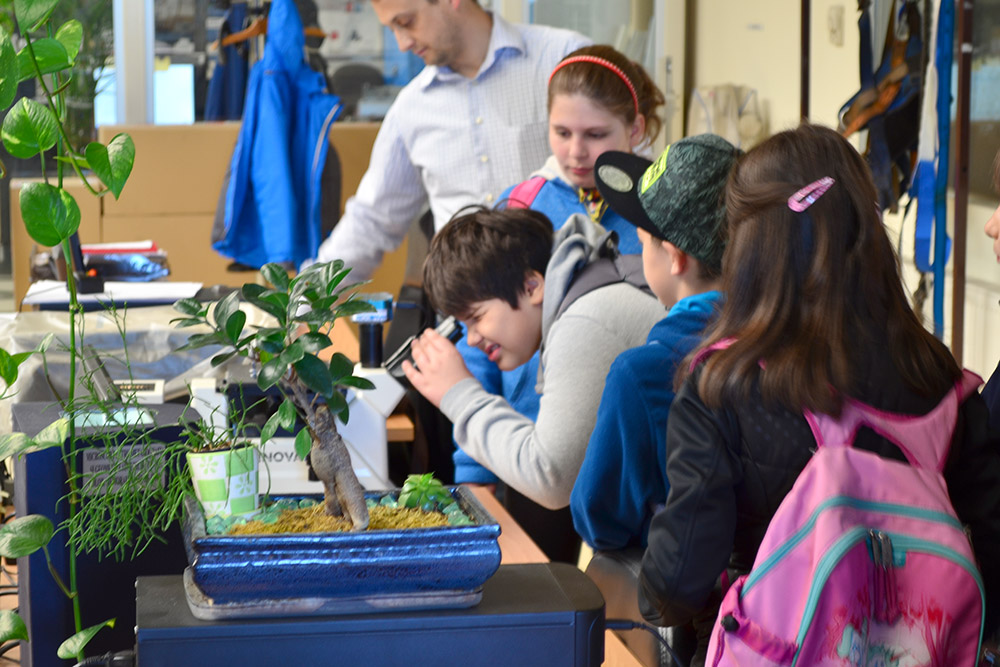   Sustinem educatia - Scoala altfel Elmas